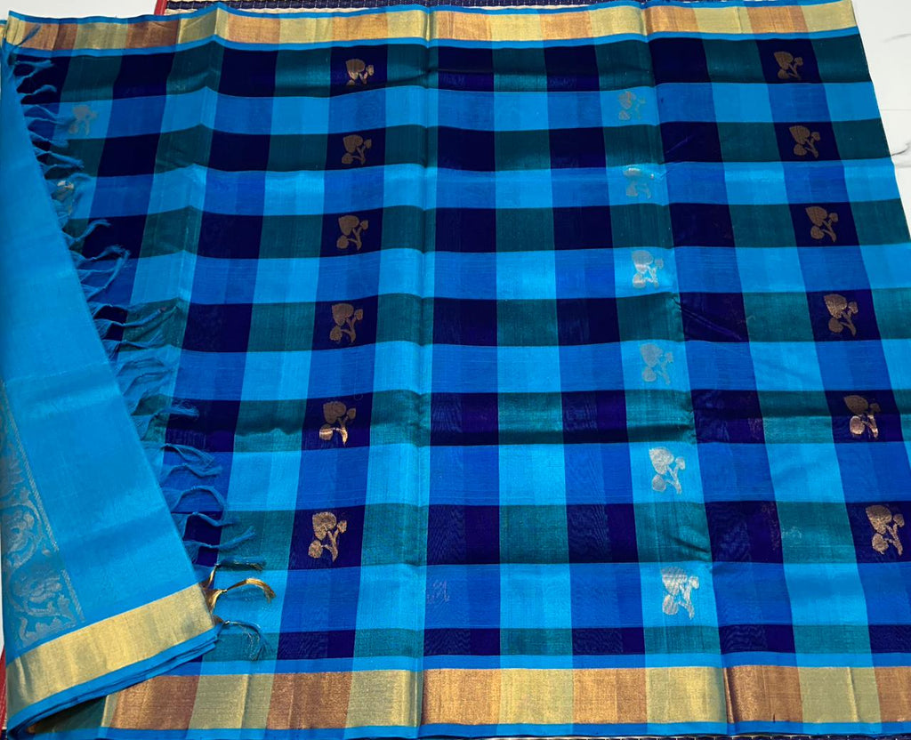 Handloom Paalum pazhamum silk cotton saree - MS146
