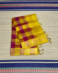 Handloom Paalum pazhamum silk cotton saree - MS089