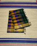Handloom Paalum pazhamum silk cotton saree - MS086